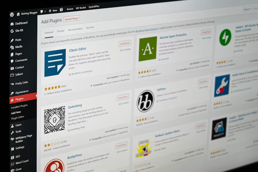 wordpress website design, website development agency